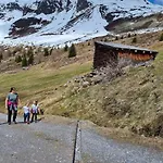 Chalet Almhuette Chrisanten Thaya