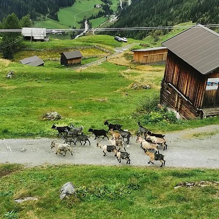 Almhuette Chrisanten Thaya Chalet