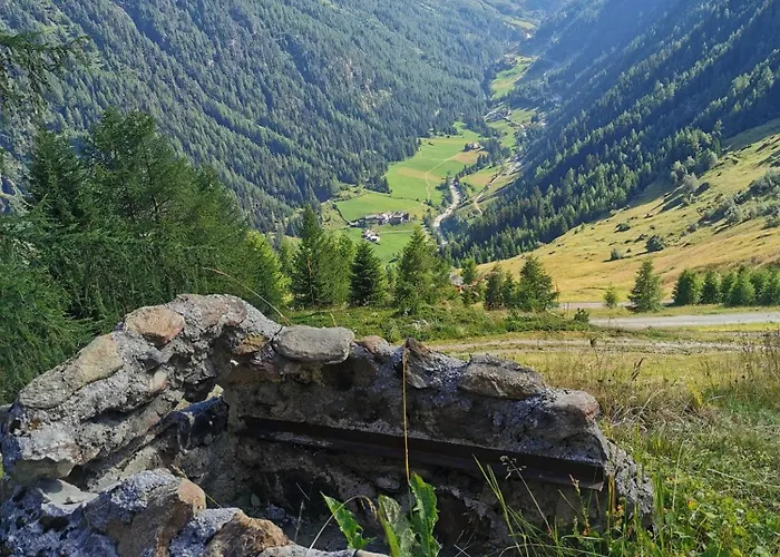 Almhuette Chrisanten Thaya