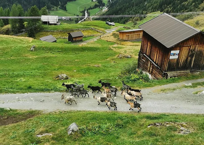 Almhuette Chrisanten Thaya Chalet